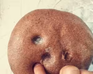 空氣炸鍋之黑麥核桃麵包