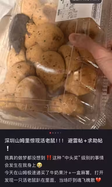 山姆麻薯驚現活鼠?網友質疑「密封盒怎進老鼠」,監管部門已介入