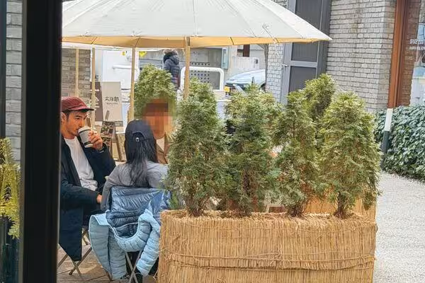 打破見光死魔咒!阮經天飛韓寵小20歲女友 這一次「真的穩了」