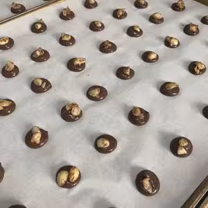 網紅夏威夷果可可脆片（無淡奶油版）