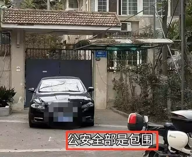 徐湖平夫妻被帶走!紅二代身份曝光,一家三口精密布局盜寶