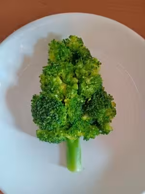 西蘭花聖誕樹