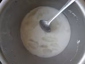 自製火腿腸