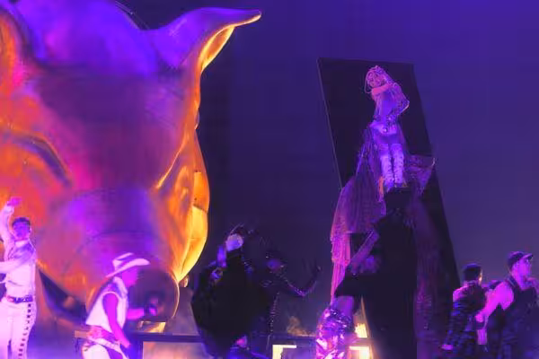 蔡依林元旦大撒錢! 3600萬金豬「瘋狂吐鈔」粉暴動搶瘋了
