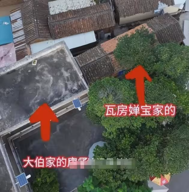 全紅嬋第二套房設計圖曝光,院子劃開大伯家界限,內幕引人猜測