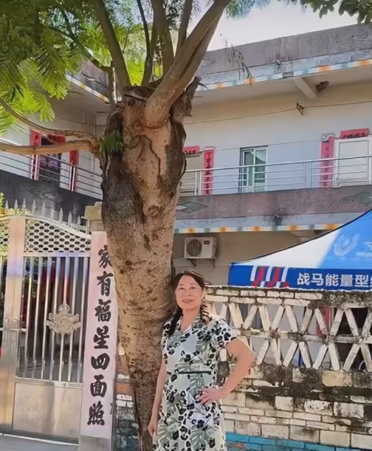全紅嬋第二套房設計圖曝光,院子劃開大伯家界限,內幕引人猜測
