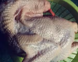 簡單又好吃的白切雞