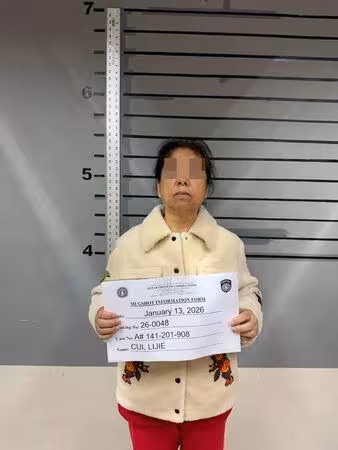 吳佩慈「婆婆」在美被捕！涉違反移民法遭關押…347億賭後淪囚犯