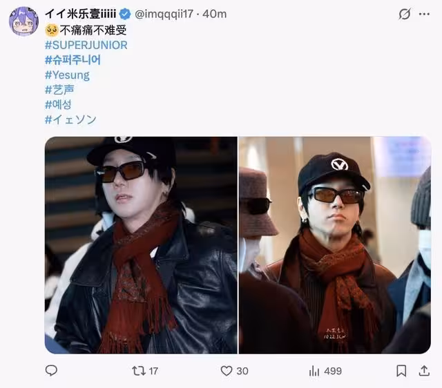 直擊/SJ出發飛高雄! 「小港機場海景第一排滿了」粉絲帶狗追星
