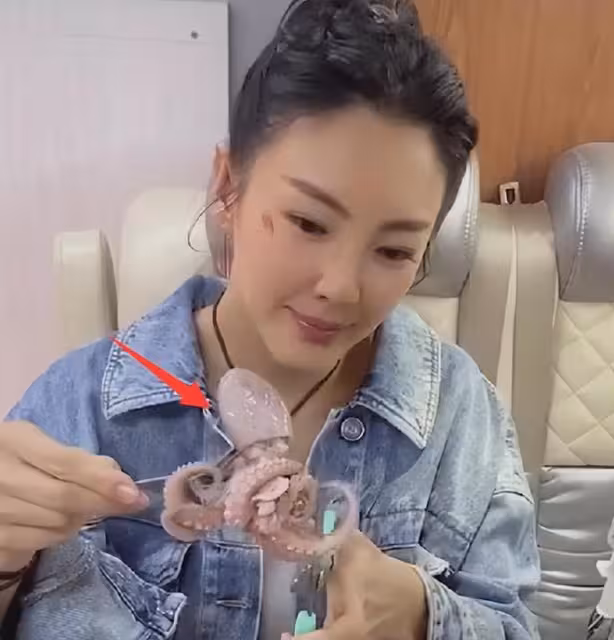 人狂自有天收！張雨綺這次被自己的迴旋鏢扎得好慘！