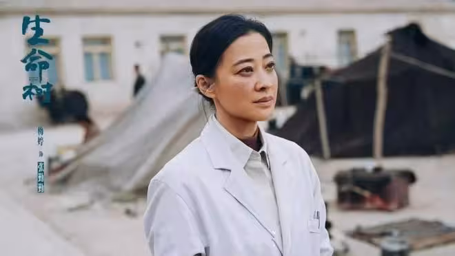 電視劇《生命樹》今日開播，楊紫 胡歌領銜，有望成口碑收視雙高作
