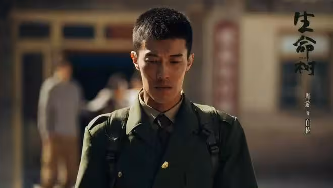 電視劇《生命樹》今日開播，楊紫 胡歌領銜，有望成口碑收視雙高作