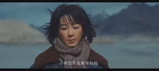 《生命樹》：看懂丁董事長撤資的真相，才知白菊為啥能接多傑的班