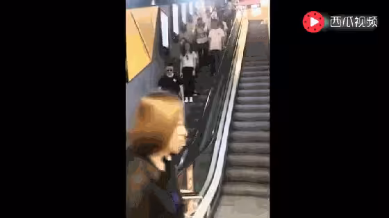 自稱多爾袞後代的吳京遭口碑反噬，你是從什麼時候開始討厭他的？