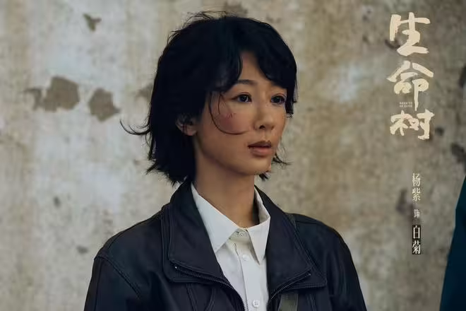 2月11日追劇日曆，9部電視劇更新，《被隱匿的真相》即將收官