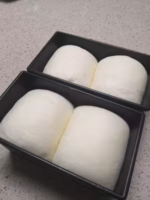 百搭白吐司，大水量軟到沒朋友