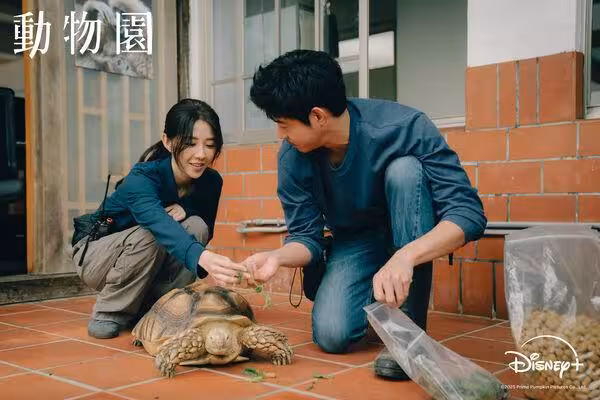 王柏傑直球告白「可以當我女友嗎」秒遭打槍 她尷尬:我才剛分手