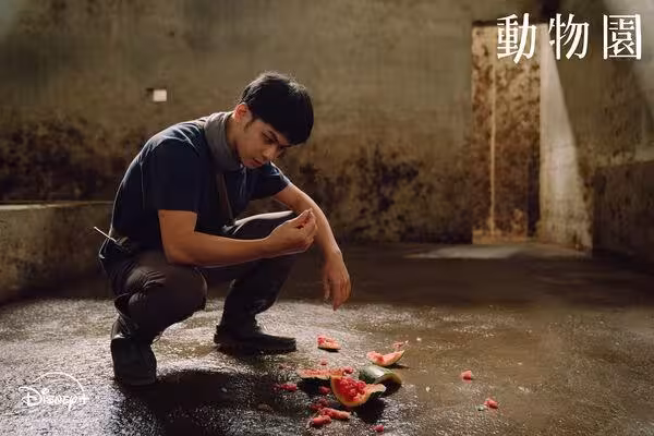 王柏傑直球告白「可以當我女友嗎」秒遭打槍 她尷尬:我才剛分手