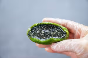 青團皮的三種做法