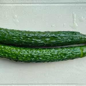 酸辣爽口拍黃瓜🥒