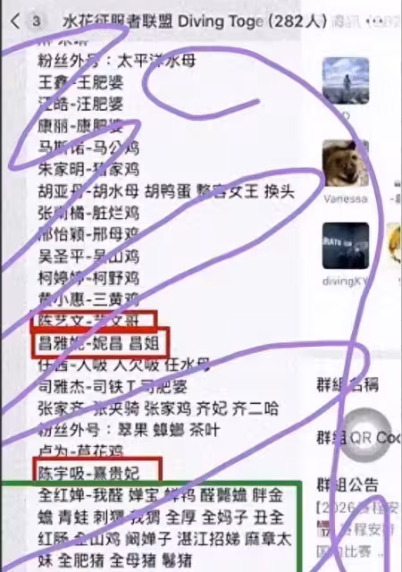 全紅嬋報警不到24小時揭體育圈遮羞布，官媒連番上陣為她鳴不平