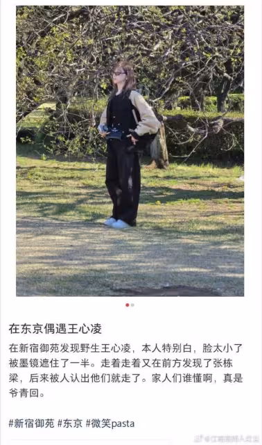 野生王心凌日本賞櫻！「同行人非吳克群」竟是他…目擊網友激動了