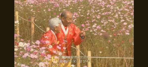 《親愛的,不要跨過那條江》奶奶辭世!赴約76年摯愛爺爺 最後遺言惹淚
