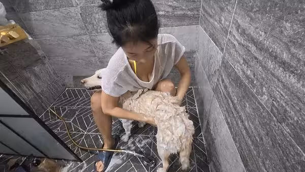 《激贊網紅》66萬YTR突拋婚訊！　認了已經結婚：一家五口生活