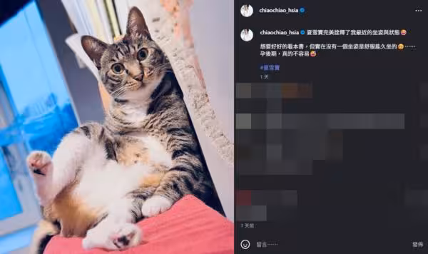 夏于喬「孕後期不容易」 看書也不舒服⋯PO一真實寫照:最近的狀態