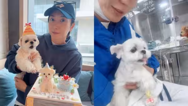 愛犬確診肺水腫、心臟病 SJ利特暴瘦痛喊:就像人被泡在水裡呼吸