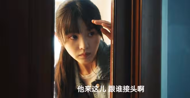 《低智商犯罪》直到12個兇手全落網，張一昂才知，李茜立了多大功