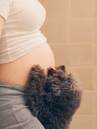 納豆辣妻臨盆倒數！依依「中空露大肚」超有愛一幕全被拍：最重要寶貝