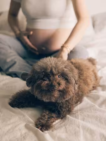 納豆辣妻臨盆倒數！依依「中空露大肚」超有愛一幕全被拍：最重要寶貝