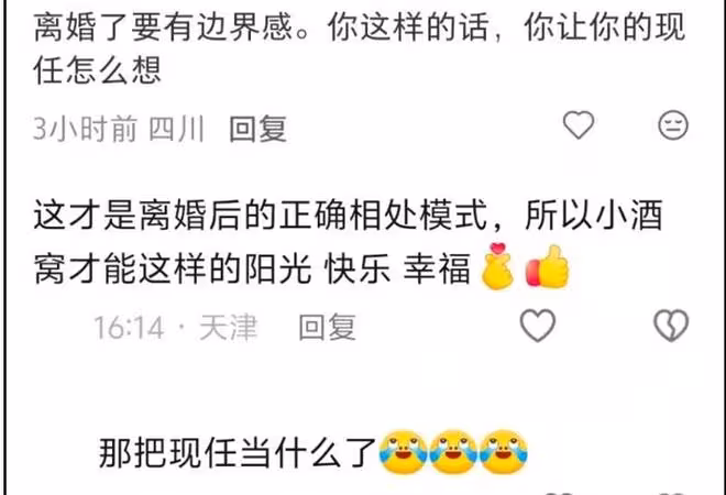 看董璇高雲翔小酒窩一家三口同框，評論區說出了張維伊的心酸