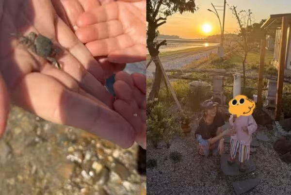 孫藝真一家三口海邊約會！玄彬「寵兒舉動曝光」網羨慕：太有愛