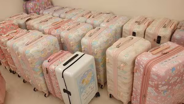 寇乃馨家中廚房「全塞鞋盒」直接斷瓦斯 200行李箱堆滿3房驚呆網