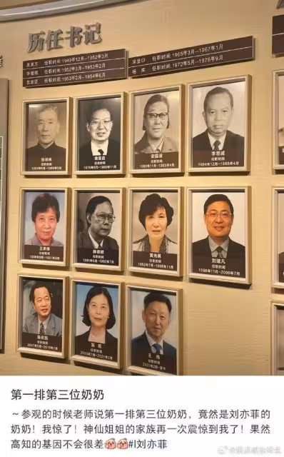 劉亦菲原本不姓劉!「舊名」曝光網:像小說女主角…驚人家世被挖