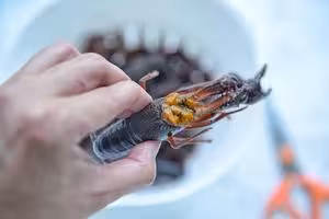 蒜香鹹蛋黃小龍蝦