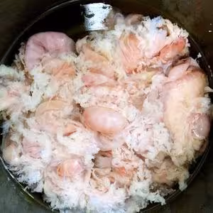重慶肥腸面（專業洗腸小清新慎入）