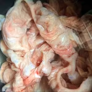 重慶肥腸面（專業洗腸小清新慎入）
