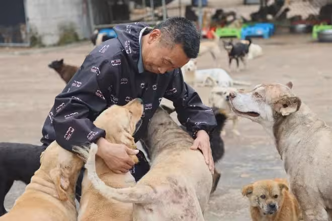 抱歉了各位，團隊準備解散了！