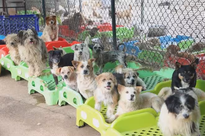 抱歉了各位，團隊準備解散了！