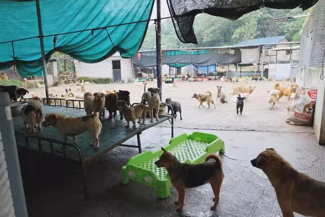 抱歉了各位，團隊準備解散了！