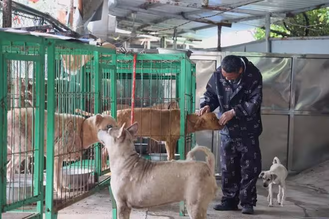 抱歉了各位，團隊準備解散了！