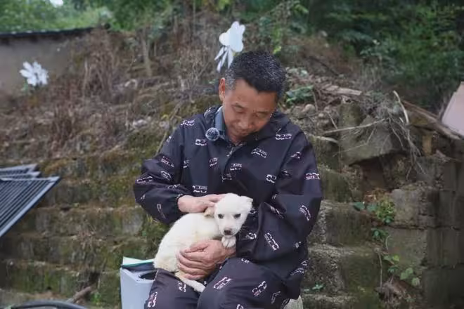 抱歉了各位，團隊準備解散了！