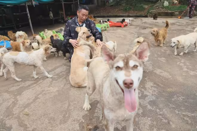 抱歉了各位，團隊準備解散了！