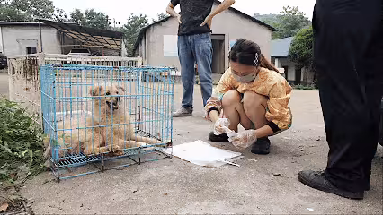 抱歉了各位，團隊準備解散了！