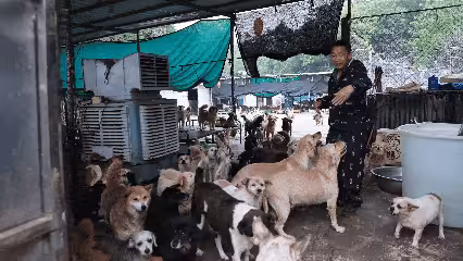 抱歉了各位，團隊準備解散了！
