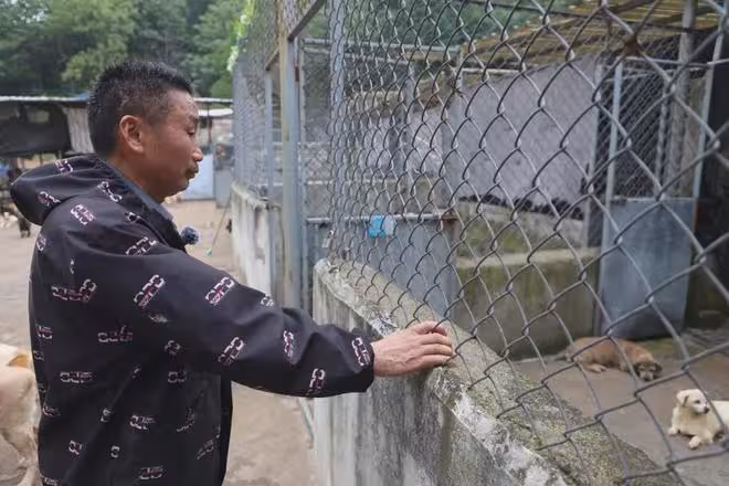 抱歉了各位，團隊準備解散了！