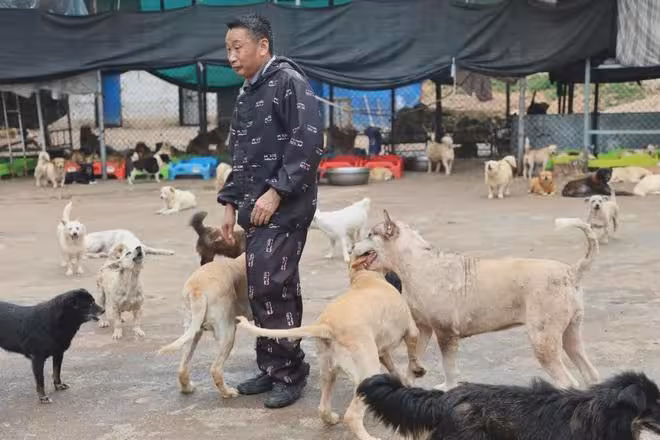 抱歉了各位，團隊準備解散了！